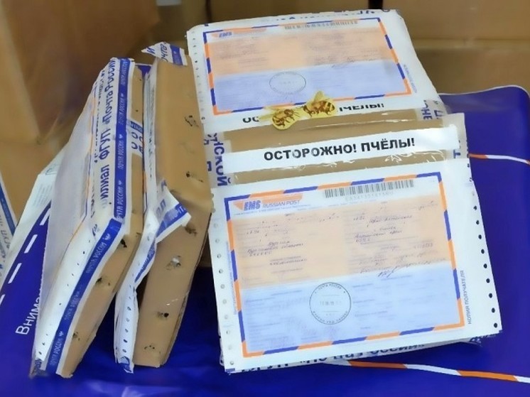 Названы самые необычные почтовые посылки жителей Псковской области