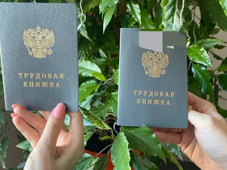 В России могут принять закон о запрете увольнения вдов ветеранов боевых действий