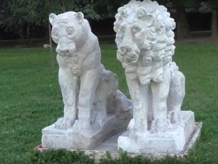 Грустные львы вернулись во двор одного из домов в Серпухове
