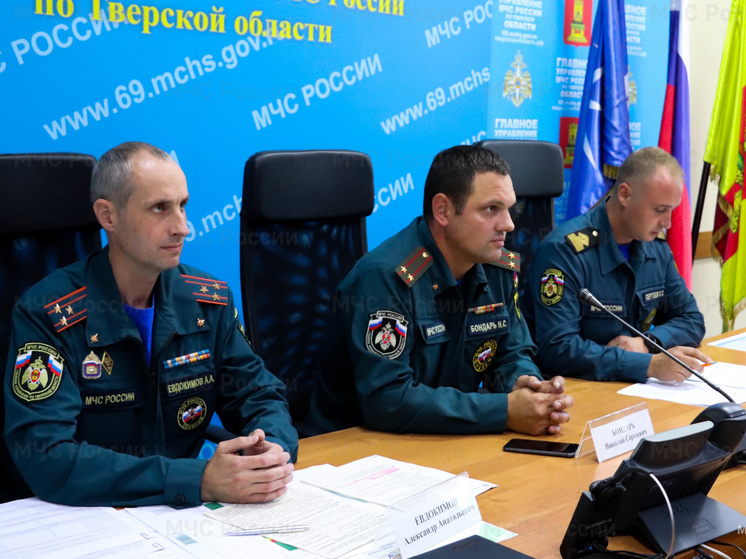С начала 2023 года в Тверской области случилось больше 2500 пожаров: погибло 76 человек