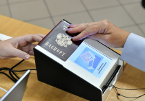 Онлайн-голосование и другие электронные сервисы стали стандартом для москвичей

