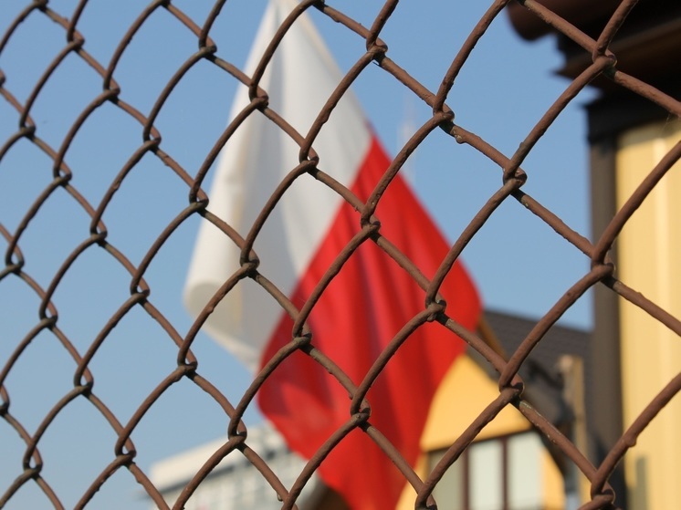 Польша может заблокировать вступление Украины в ЕС из-за конкуренции