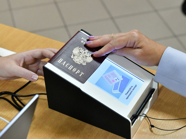 Онлайн-голосование и другие электронные сервисы стали стандартом для москвичей