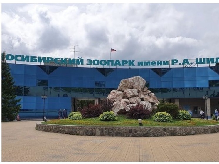 В Новосибирский зоопарк с 25 сентября будут бесплатно пускать пенсионеров