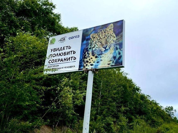 На главной трассе юго-запада Приморья появились новые «леопарды»