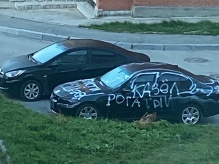 В Новосибирске вандалы написали на машине «Казёл рогатый»