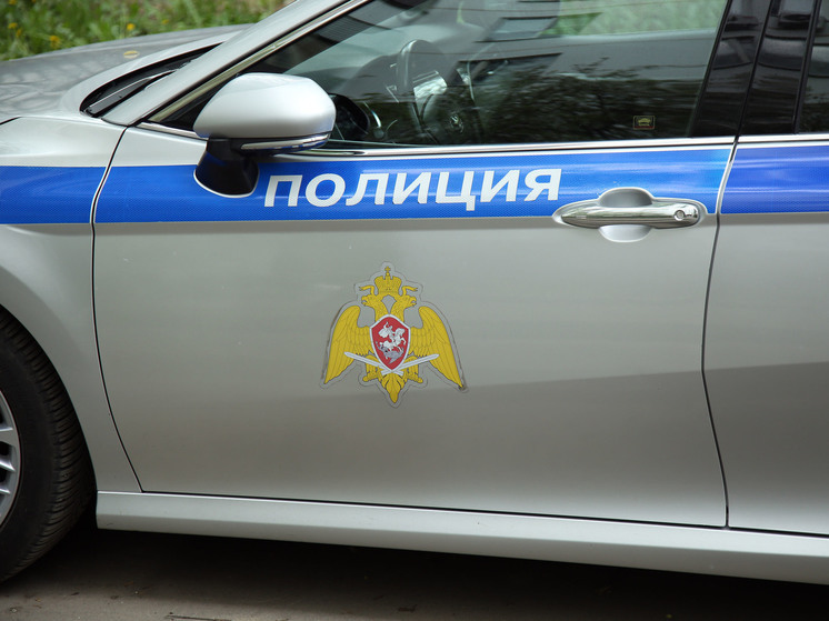 В Красноярском крае местный житель топором убил шестилетнюю девочку
