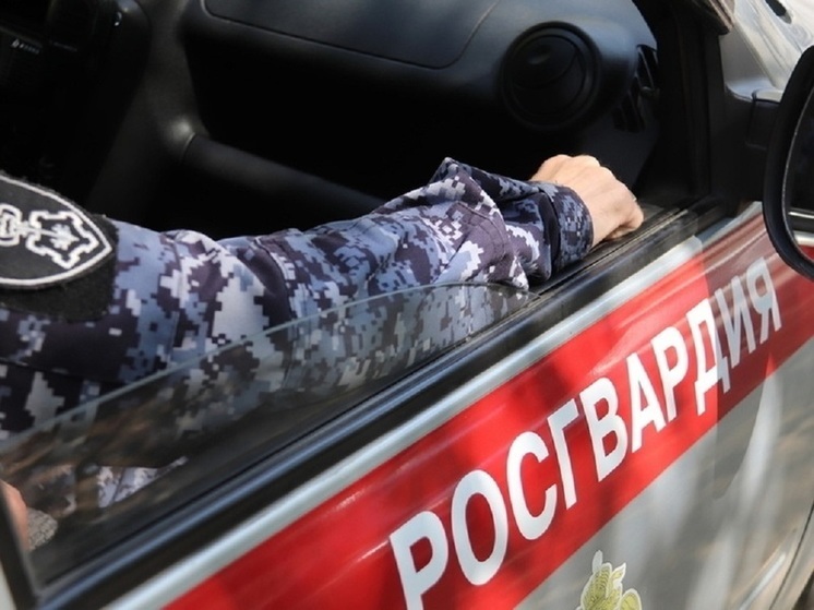 В Новосибирске раскрыли подробности массовой драки на площади Калинина
