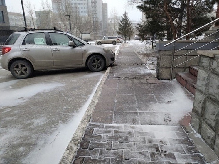 В Новосибирске сравнили даты выпадения первого снега за последние 7 лет