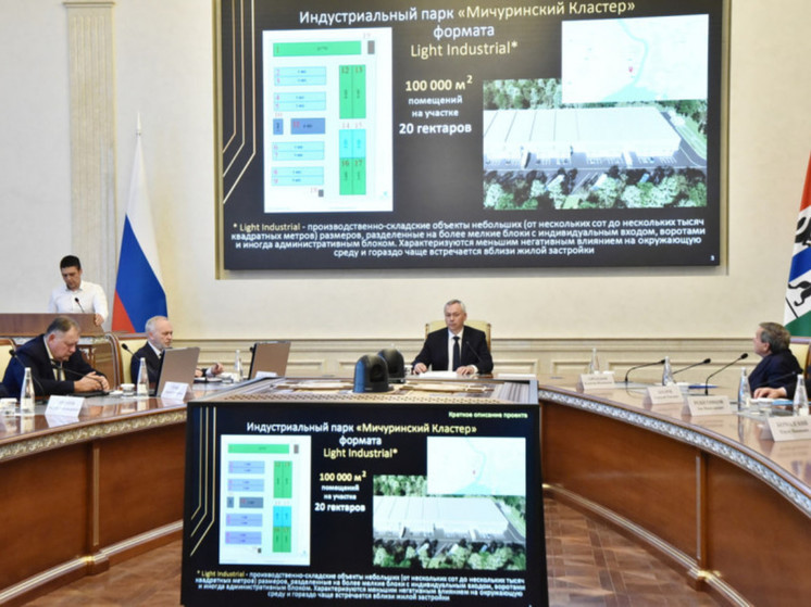 Инвестпроекты индустриального парка, ТЛК и завода горячего цинкования получат поддержку региона