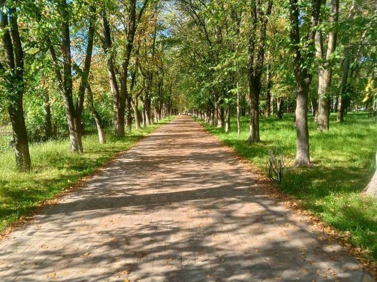 Благоустройство парка Ветеранов в Вологде подходит к концу