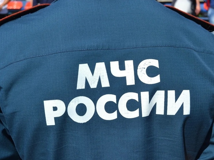 Гранату и артснаряд нашли в Псковской области