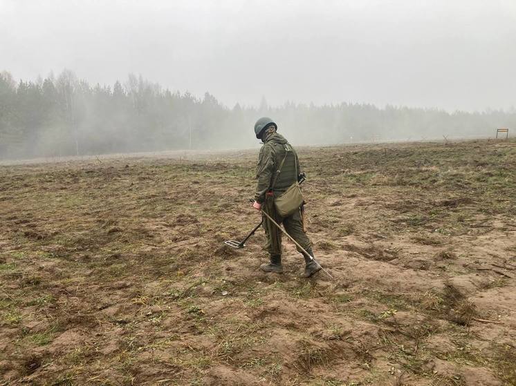 Звуки взрывов в Тульской области объяснили контролируемыми подрывами