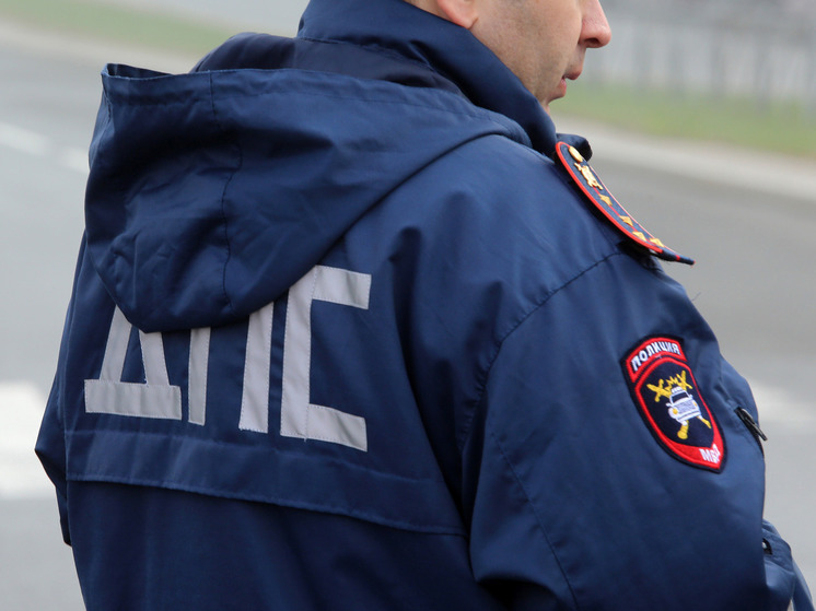 Суд в Новгородской области вынес приговор мужчине, избившему автоинспектора
