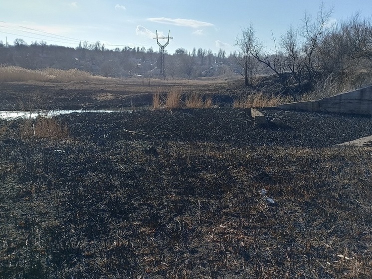Пожары уничтожили более 130 гектаров сухостоя в ДНР