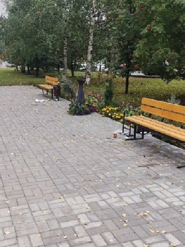 Кировчан попросили заботиться о городском имуществе и прекращать акты вандализма