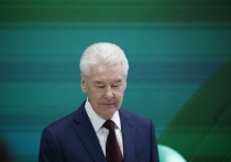 Мэр Москвы Сергей Собянин проинформировал о скором открытии нового пешеходного моста между островом Балчуг и парком Горького
