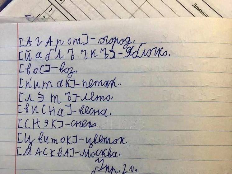 Учительницу, которая не знает русского языка, попросили проверить в Подмосковье