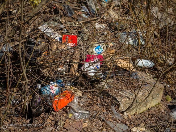 Заброшенную ферму в Карелии завалили мусором