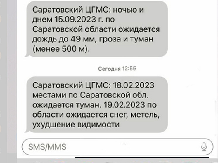 В Саратове обещают метель