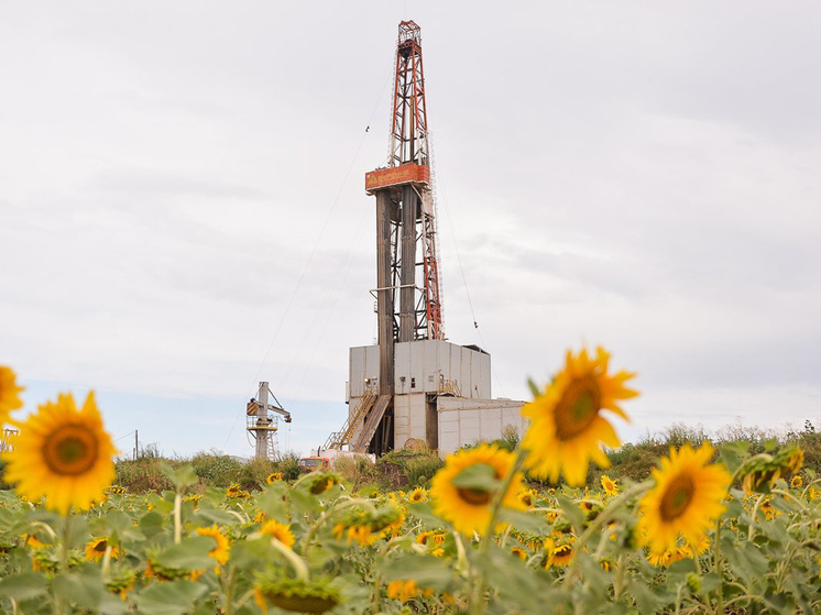 Кадры для российских нефтяников подготовят в Катаре, Владивостоке и Уфе