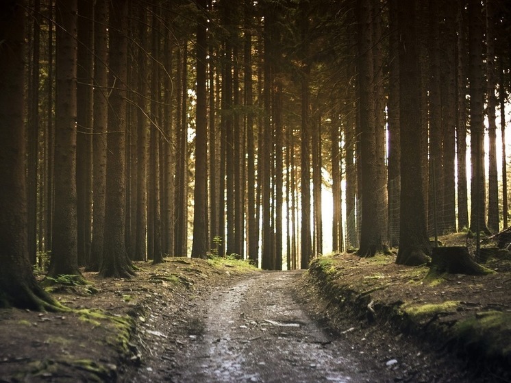 По пути в монастырь в Башкирии заблудились пять женщин