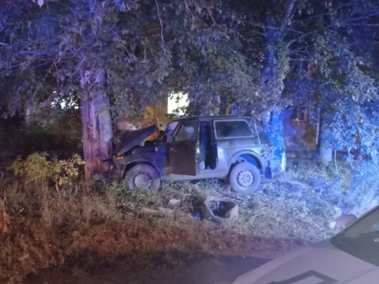 В Омске пожилой водитель «Нивы» погиб, врезавшись в дерево