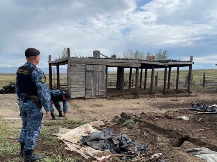 В Туве  демонтировали незаконную  стоянку чабанов