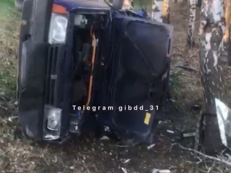 16-летний белгородец угнал машину у своей тети и влетел на ней в дерево