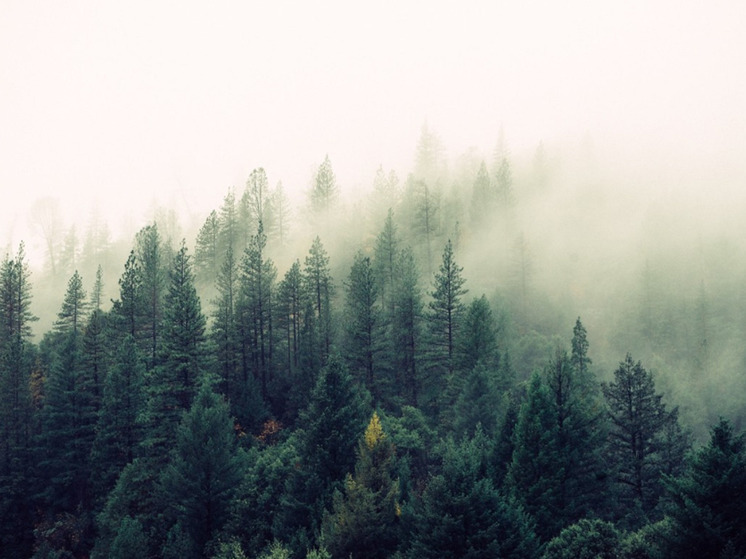 В школах и детсадах НАО откроют «зелёные» библиотеки