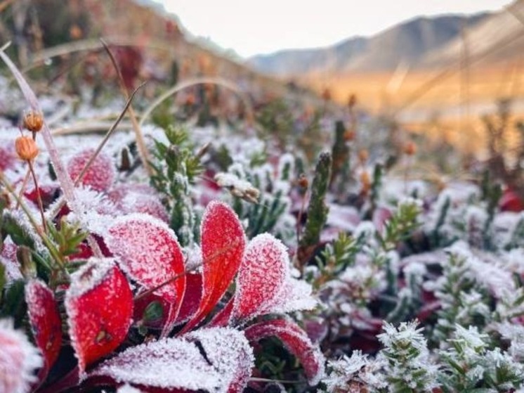 Осадки ожидаются на большей части региона в субботу