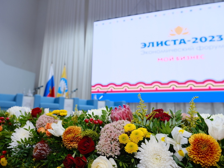 В Калмыкии прошел экономический форум «Элиста-2023. Мой бизнес»
