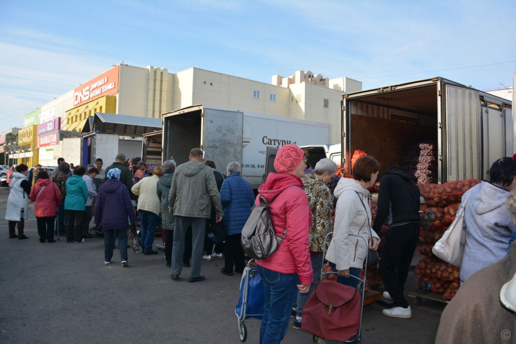 Продовольственная ярмарка барнаул. Продовольственная ярмарка. Ярмарка Барнаул. Продовольственные ярмарки Барнаул фото. Продовольственная ярмарка фото.