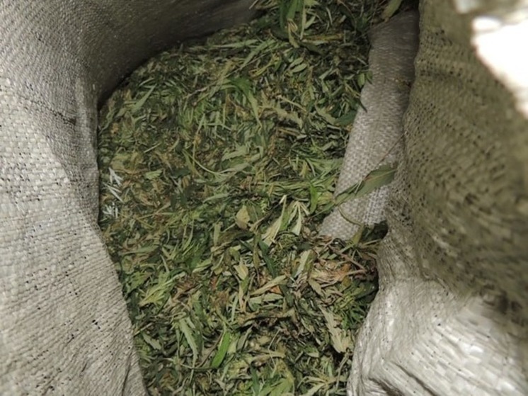 11 килограммов марихуаны изъяли у двух читинцев на посту ДПС