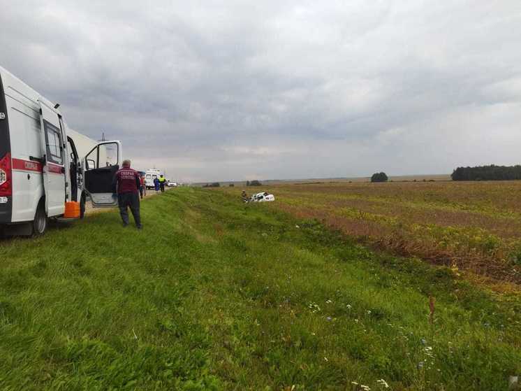 Четыре человека погибли в массовом ДТП на трассе М-6 в Рязанской области