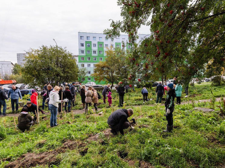 В столице Кольского Заполярья состоялась акция «Зеленый рекорд»