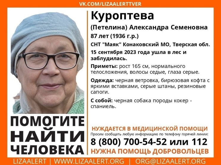 В Конаковском округе Тверской области ищут пенсионерку: женщина ушла в лес с собакой и не вернулась