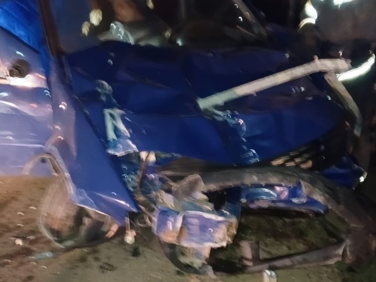 На границе Тульской области в ДТП пострадали трое человек