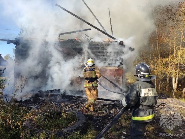 При пожаре в частном доме в Новгородском районе погиб один человек