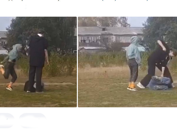 Пользователи соцсети дали совет избитой в Пудоже девочке