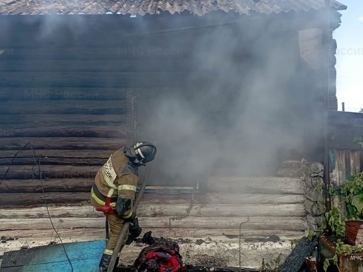 Четыре человека сгорели за ночь на пожарах в Забайкалье