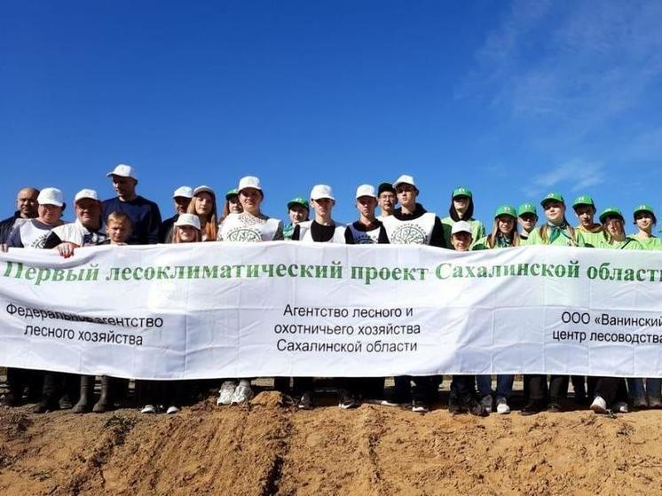 Первый в России лесоклиматический проект стартовал на Сахалине