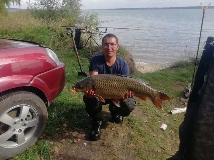 Новосибирец поймал в Спирино сазана весом более 13 килограмм