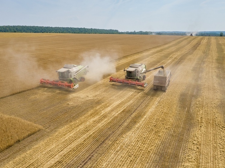 Аграрии Рязанской области собрали уже 2,4 млн тонн зерна