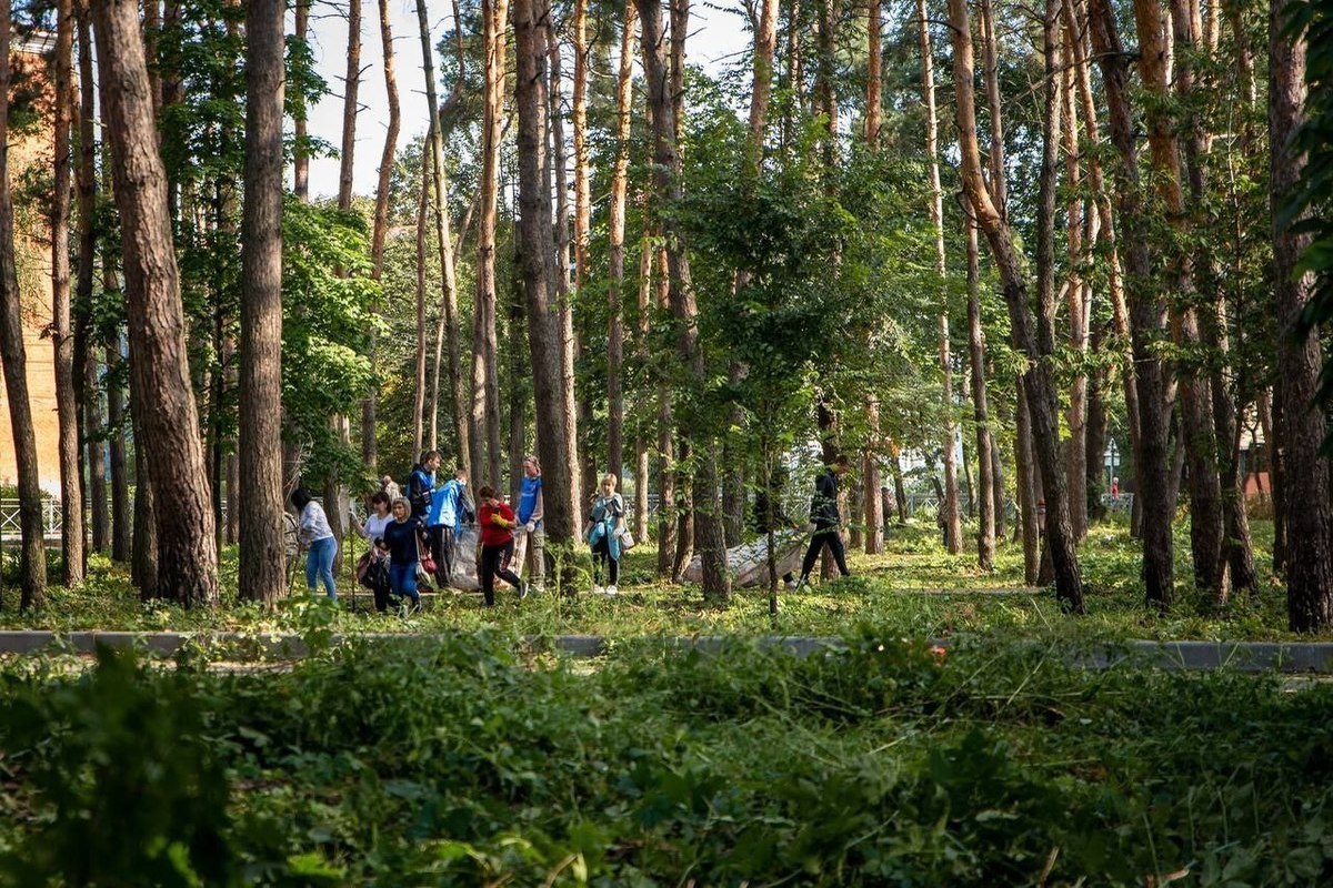 Здоровье курская область урочище солянка. Урочище солянка Курск.