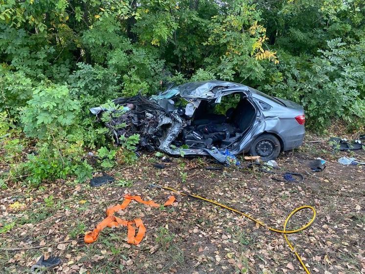 В Воронежской области погиб 42-летний водитель «Лады» после лобового столкновения с грузовиком