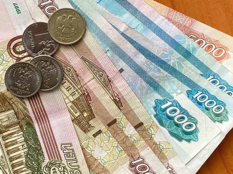 Прожиточный минимум в Рязанской области увеличится до 13576 рублей в 2024 году