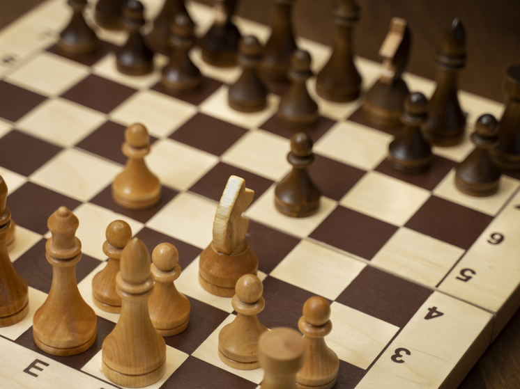 В Петербурге стартовали районные этапы шахматного турнира