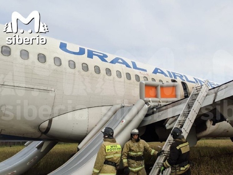 Севший в поле самолет Airbus A320 готовят к взлету с грунта под Новосибирском