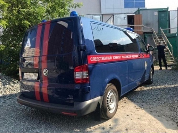 Началась проверка по факту нападения на мальчика в Каменске-Уральском